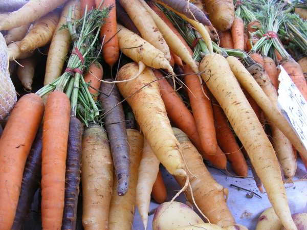 A collection of carrots and root vegetables