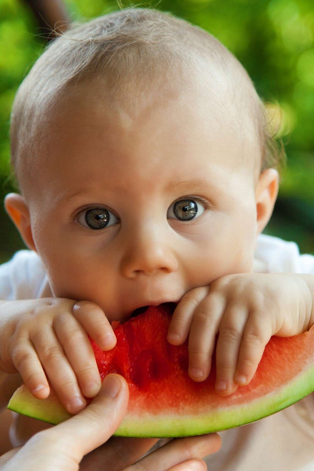 A baby chewing on watermelon