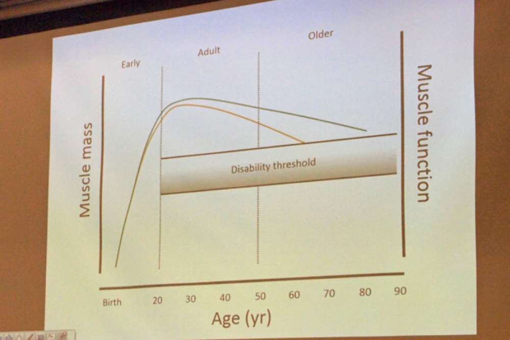 Dr Stuart Phillips Graph