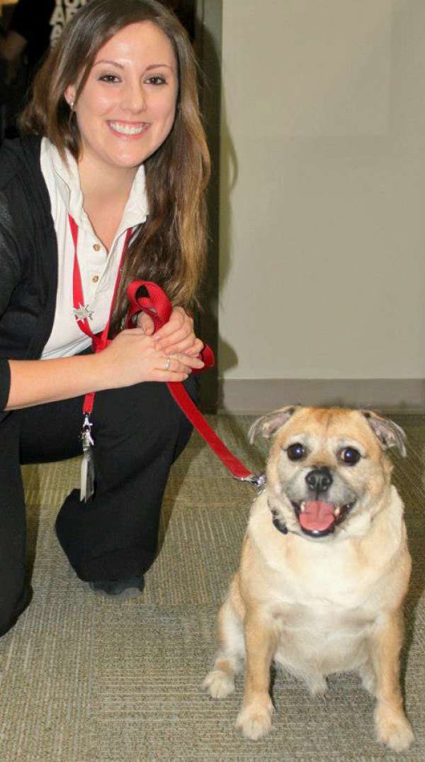 Sja Therapy Dog Megan And Jake