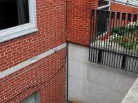 The window well is a full floor high. The ducklings would not have been able to escape.thumbnail image.