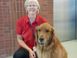 Sja Therapy Dog