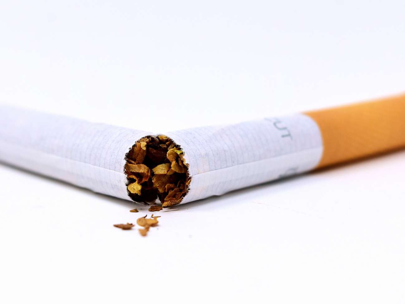 Smoking can clog the small arteries supplying your kidneys with cholesterol. For your health, kick the habit!