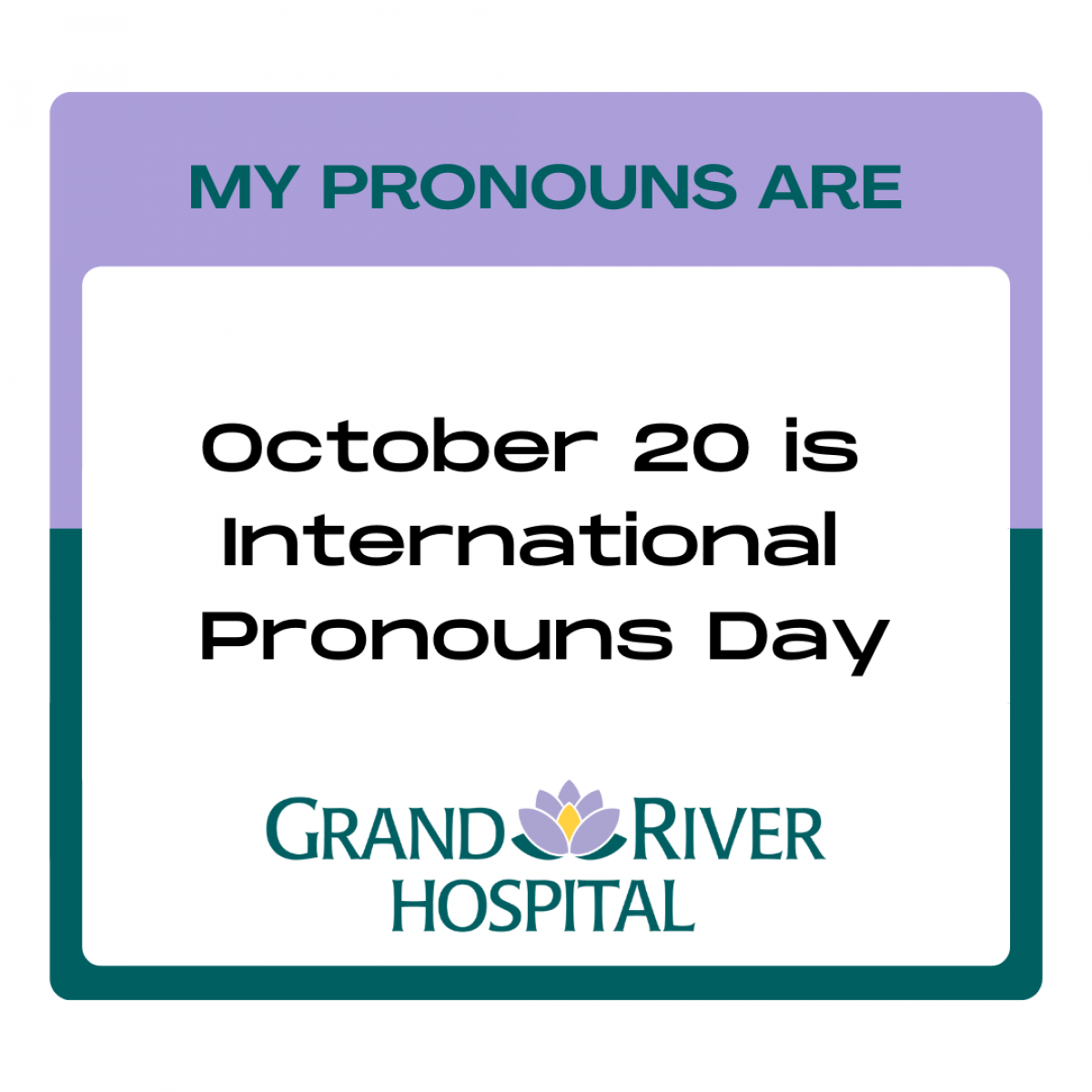 Img 20211020 Pronouns Day Ig