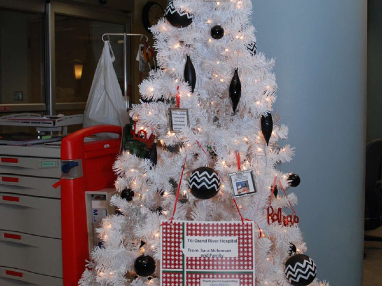 Blake's donated Christmas tree.